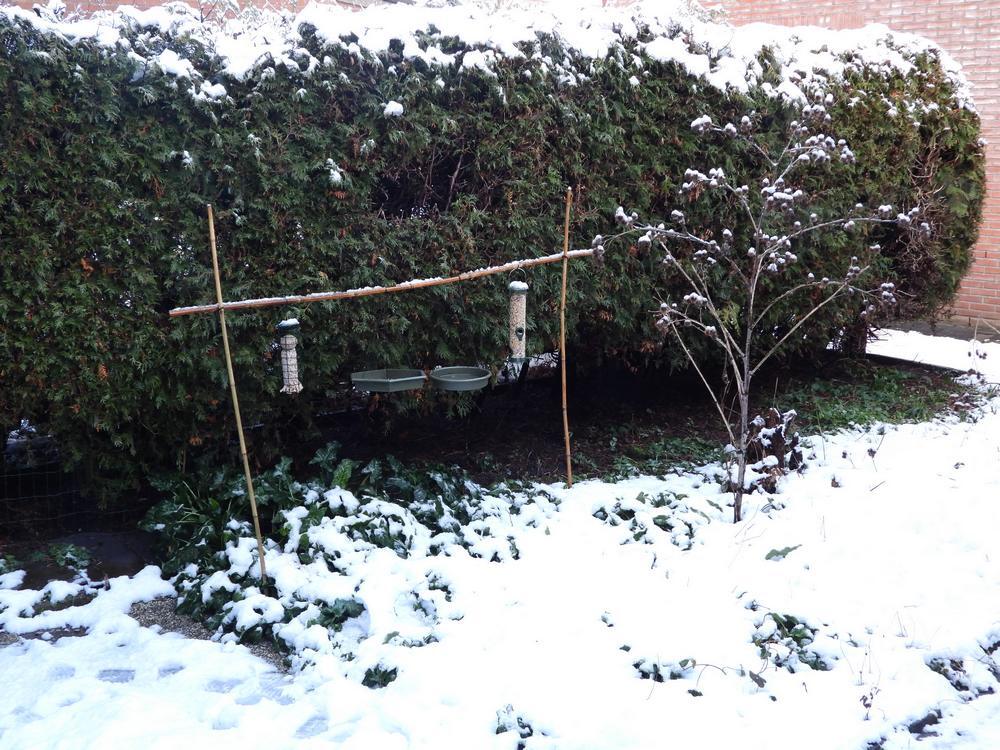 voederplaatsachtertuinmeerkerk04012026