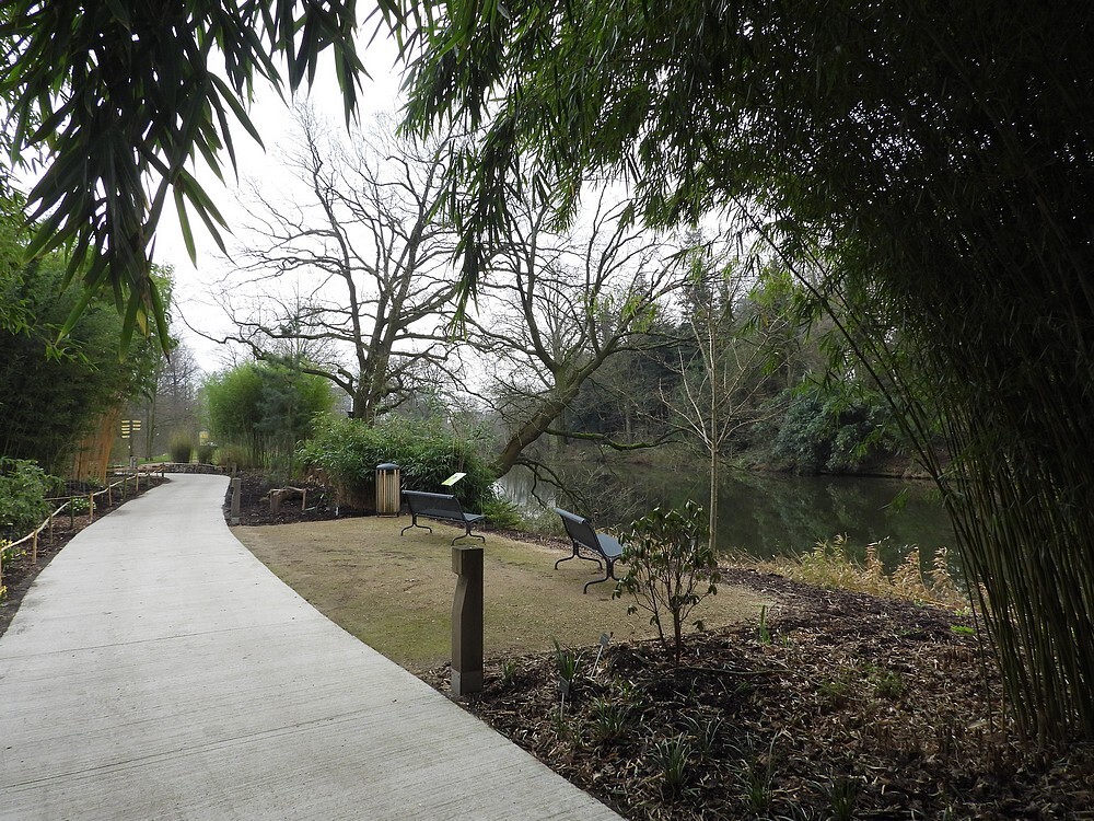 jubileumbankjezithoekbamboebosbotanischetuinenutrecht28022024