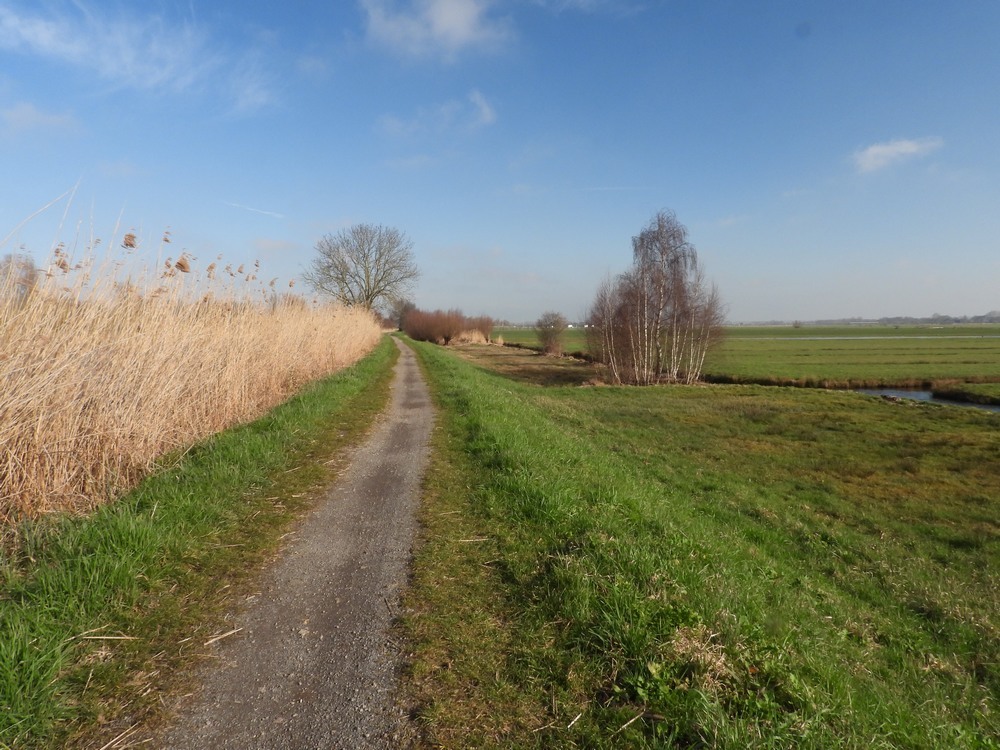 zederikkadebloemenarmzouweboezemmeerkerk18032023 2