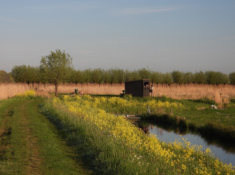 vogekijkennatuurinformatiehutzouweboezem19042025