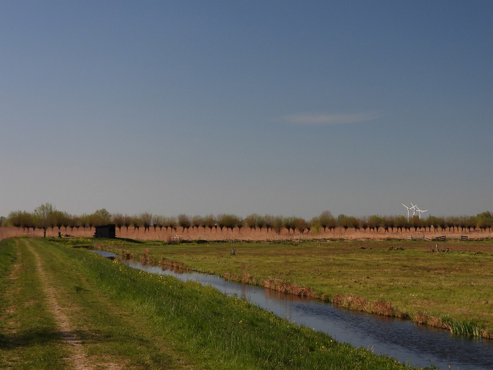 vogelkijhutmetvoorbeeldigonderhoudenknotwilgenrijzouweboezem07042025 2