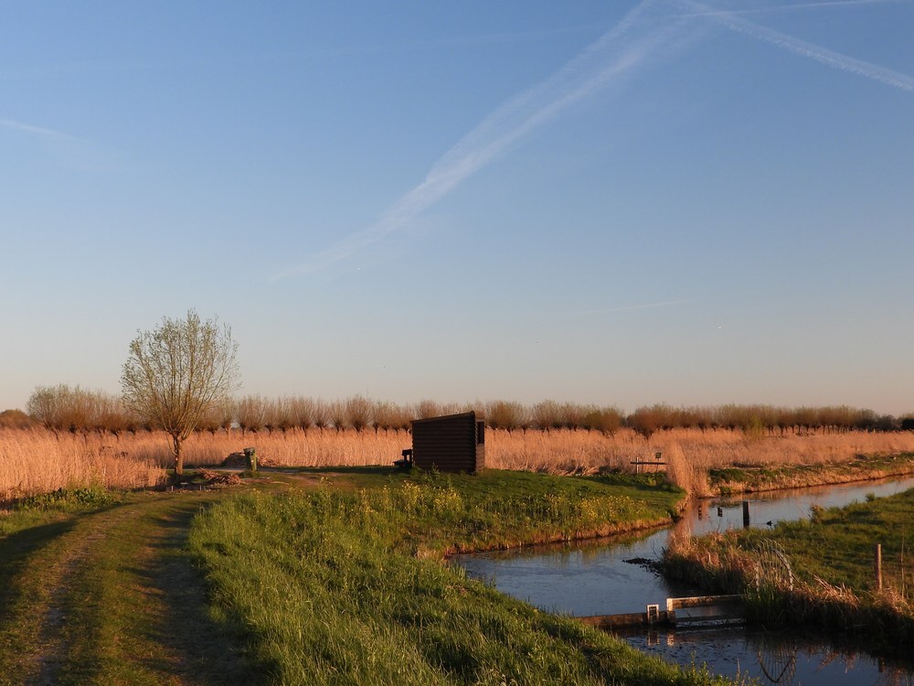 vogelkijkhutmetknotwilgenrijzouweboezem07042025