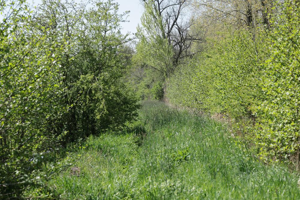 dodelentezouweboezemgebied23042026 1
