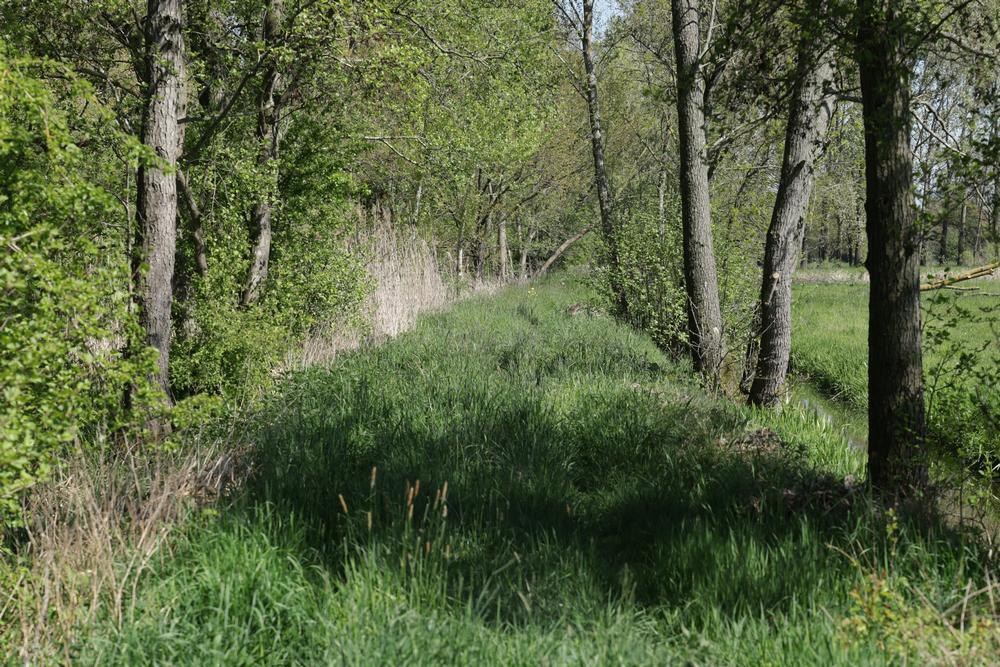 dodelentezouweboezemgebied23042026 3