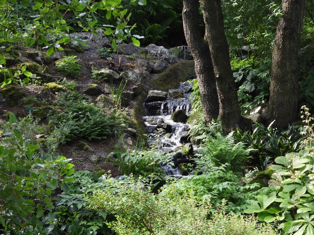 rotstuinbotanischetuinenutrecht15052024 3