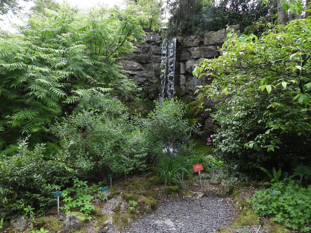 rotstuinbotanischetuinenutrecht15052024 4