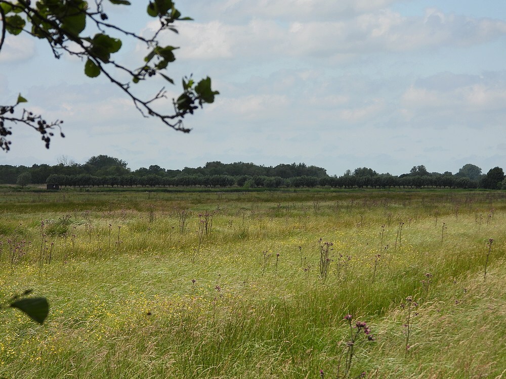 kalejonkerlandschappenzouweboezem30052025 4