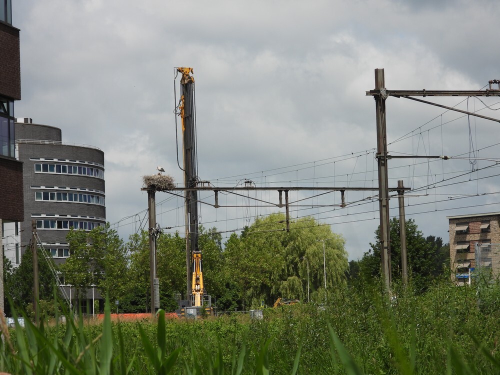ooievaarspoorportaalnestalphenadrijn20062022 2