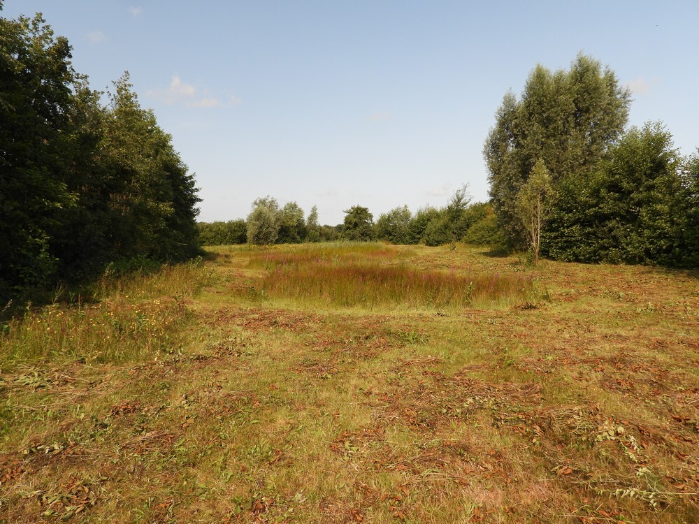 natuurontwikkelinglangsdeleijgraaferp06082025