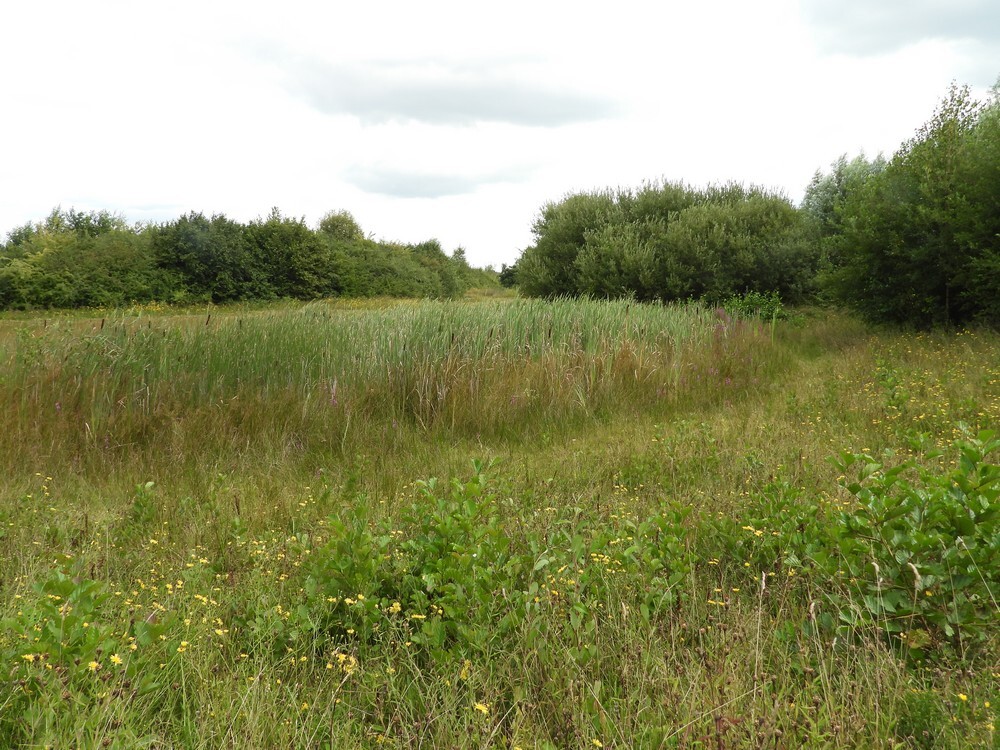 plasmetgrotelisdoddedeleijgraaferp06082025