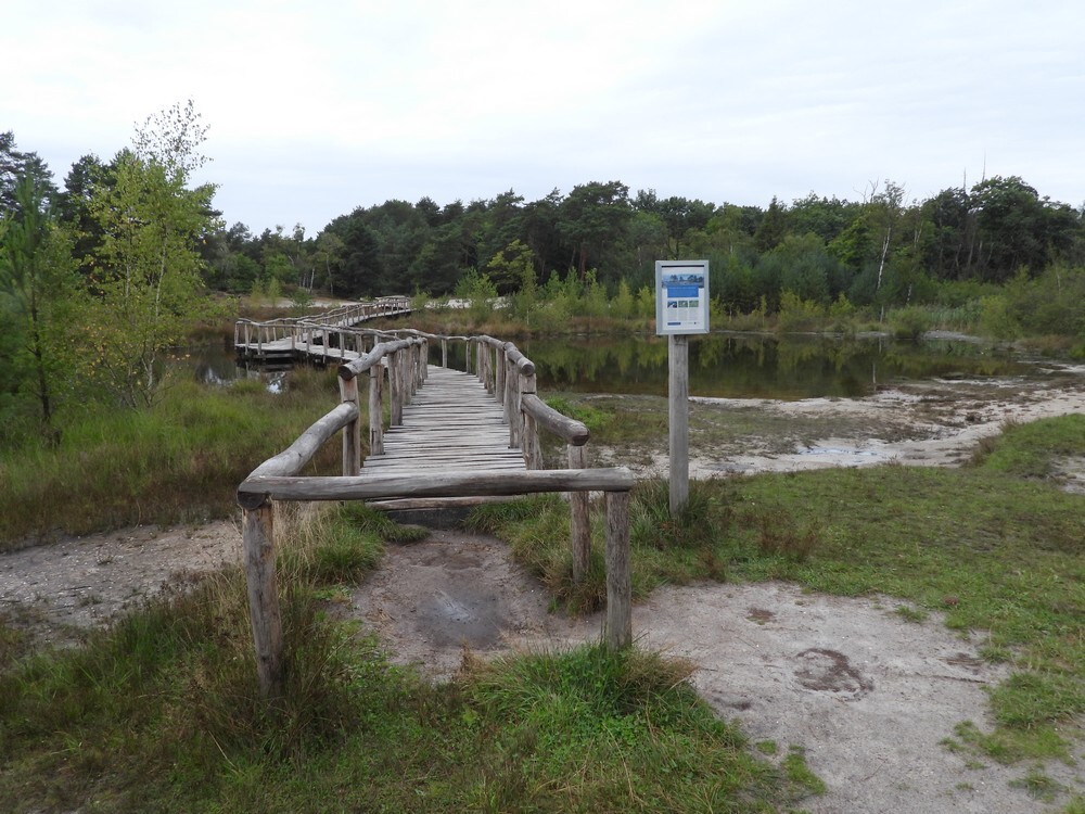 brongebiedroodebeekbrunssummerheide01092025 1