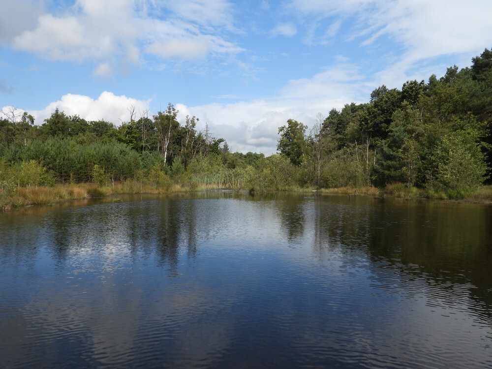 brongebiedroodebeekbrunssummerheide01092025 2