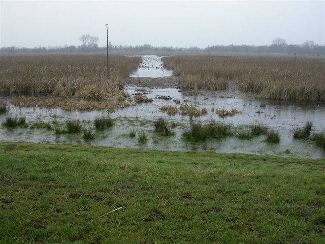 vogelkijkschermzouweboezem29012005 2