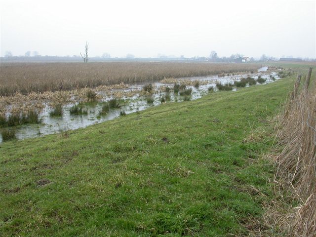 vogelkijkschermzouweboezem29012005