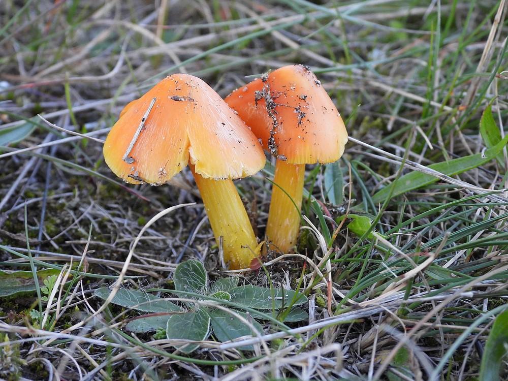 puntmutswasplaatsoesterberg09102022 1