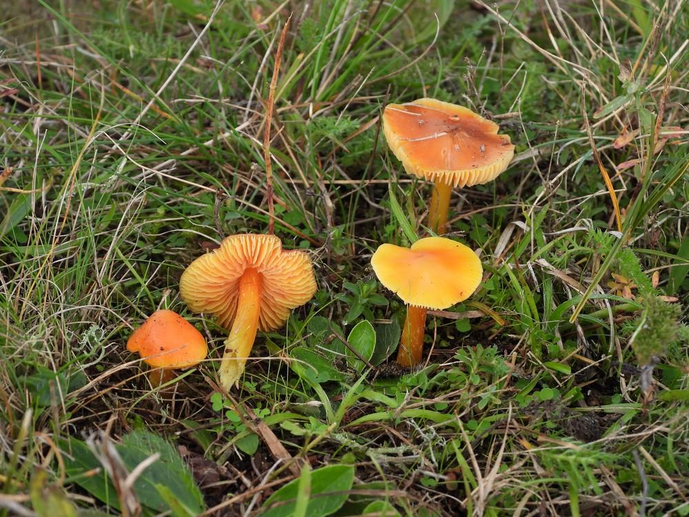 puntmutswasplaatsoesterberg16102022