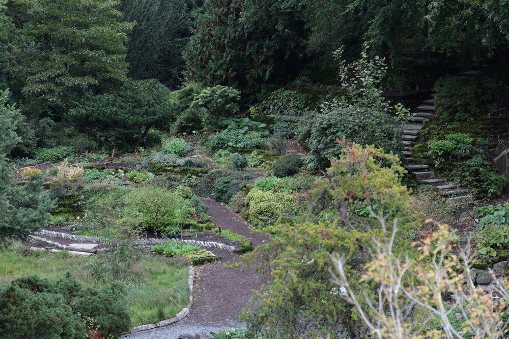 rotstuinbotanischetuinenutrecht05102023