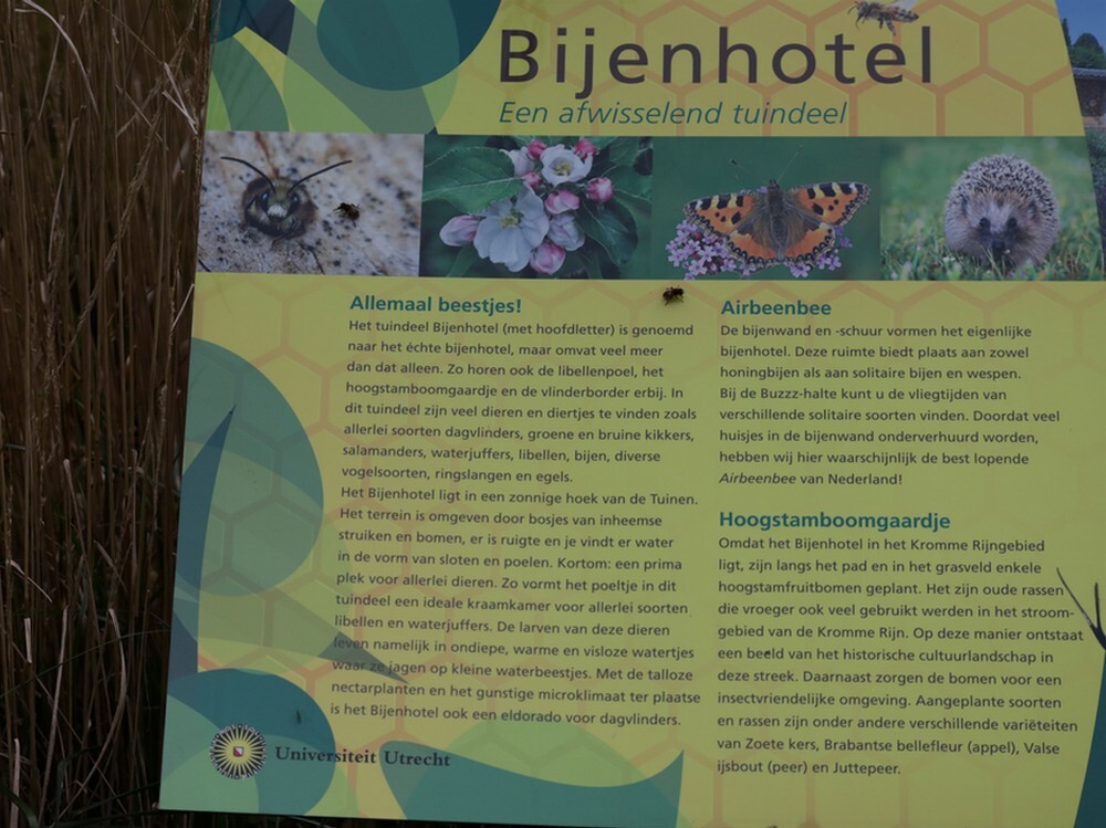 blindebijeninformatiebordenbotanischetuinenutrecht01112023 1