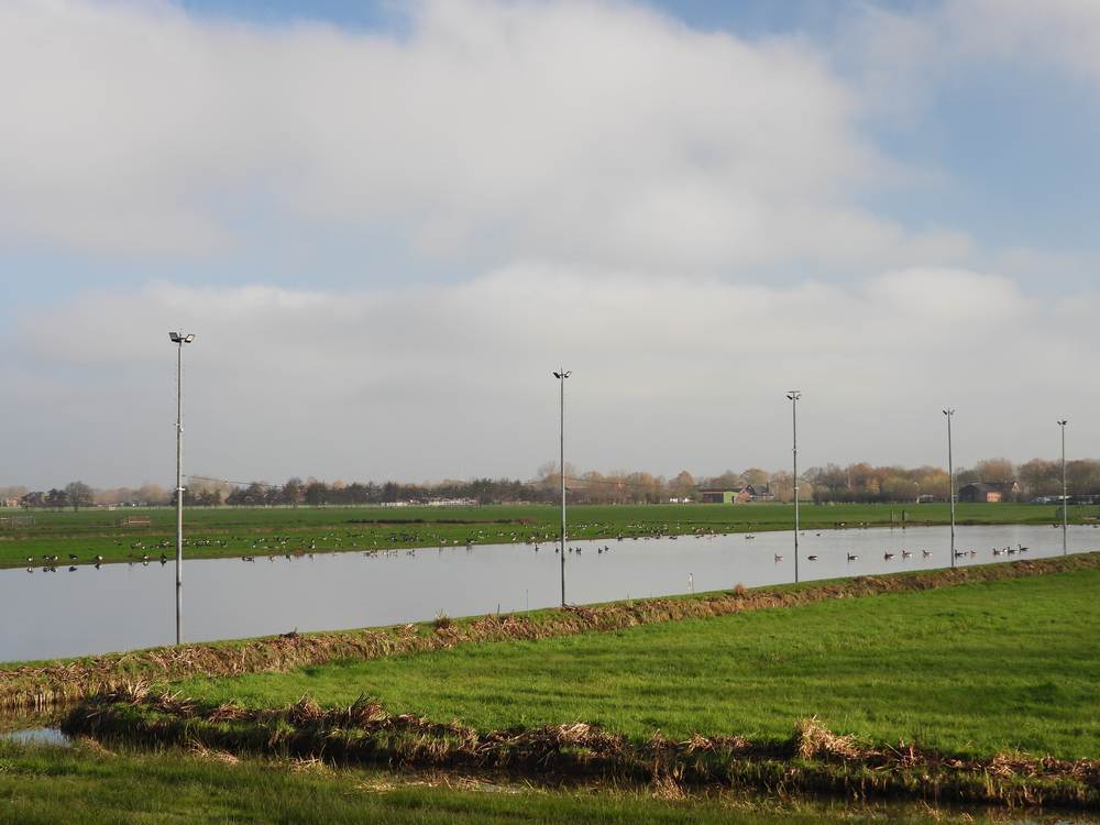 ganzenplaspolderlakerveld26112025