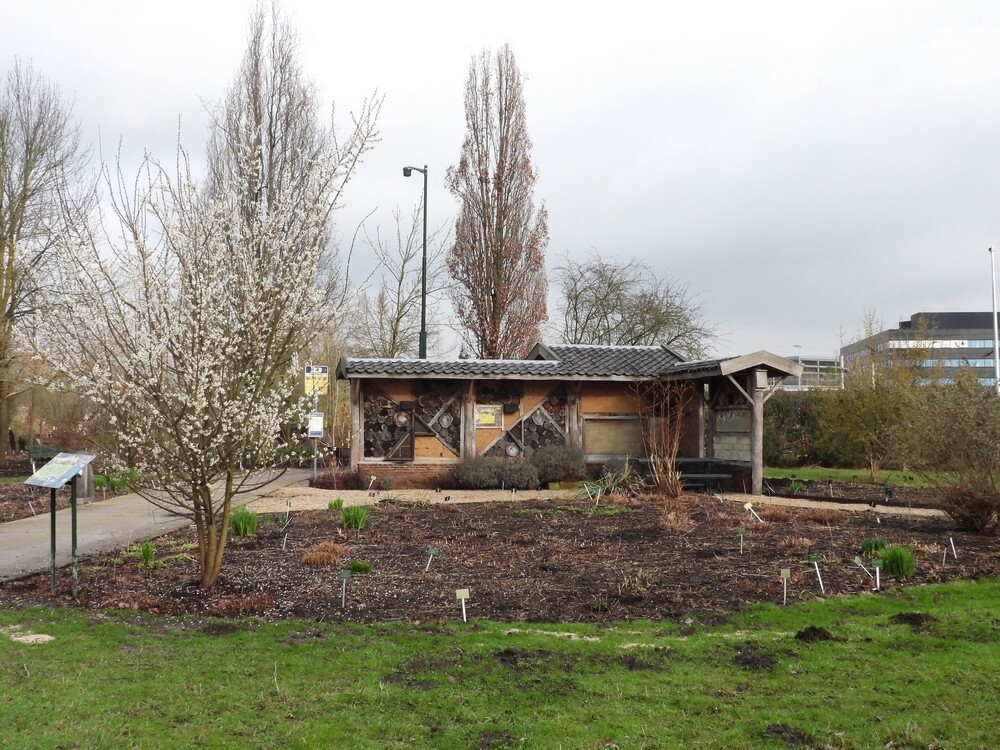 bijenhotelbotanischetuinenutrecht12022024