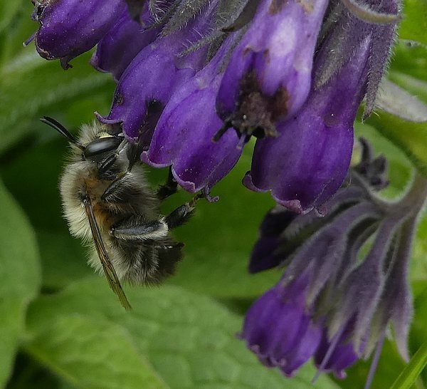 gewonesachembijvrouwbiesbosch17042019 1