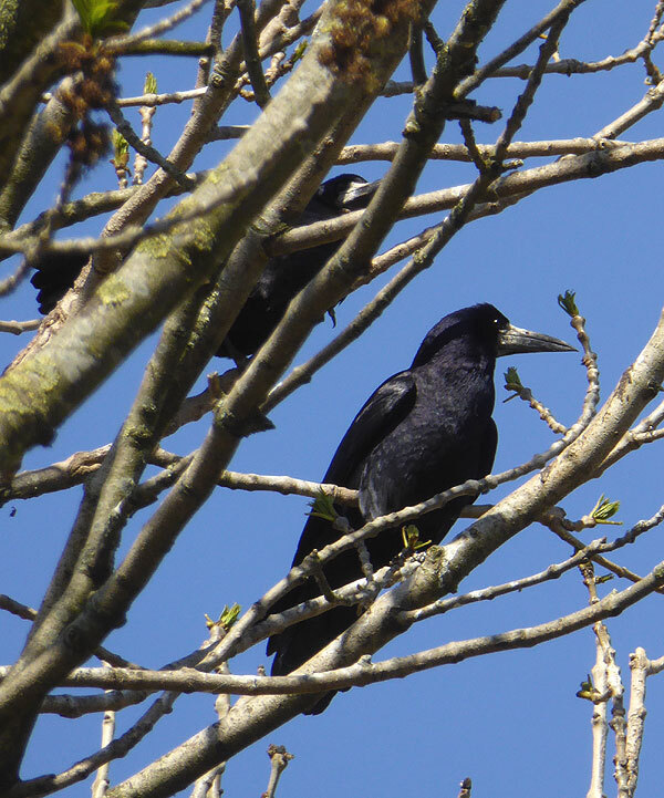 roekleerbroek20042015 1