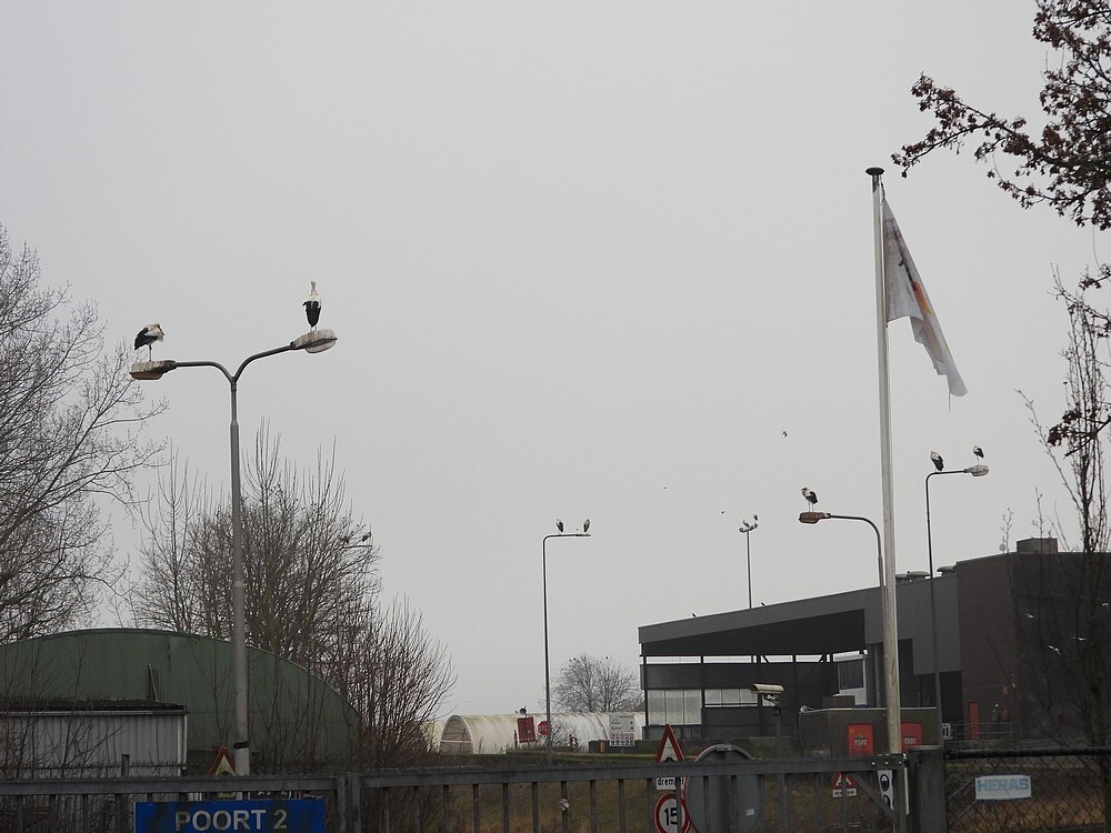 ooievaarsafvalverwerkinglageweideutrecht18012025 1