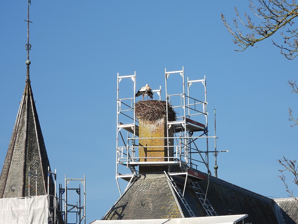 ooievaarsopschoorsteeninrenovatieslotzuylen02022025