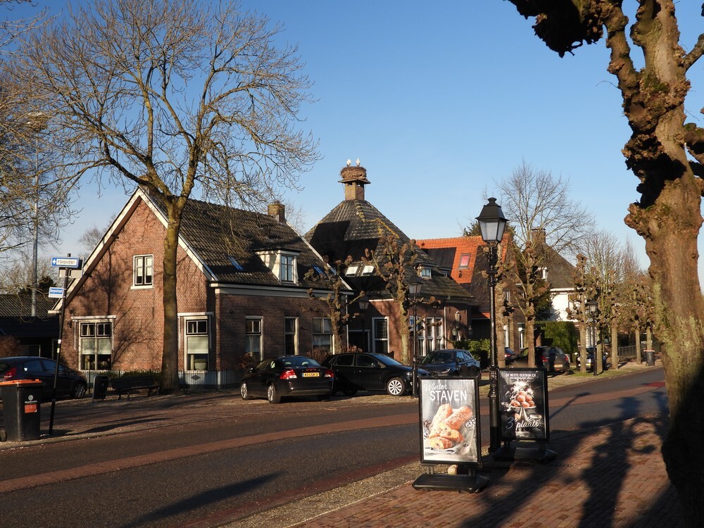 ooievaarspaar7081x0gemeentehuisschoonrewoerd13012025 1
