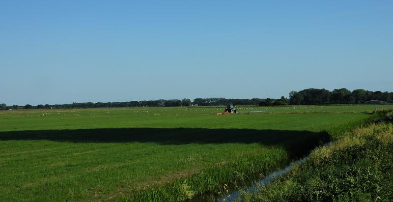 ooievaars105expolderlageveldherwijnen29052020 1