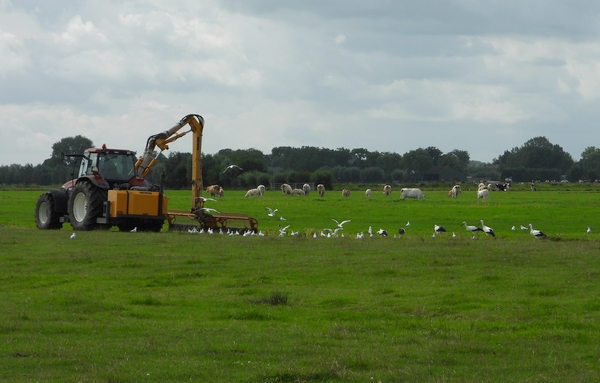ooievaarsslootbaggerenpolder Nederboeicopnoordachterkadevianen15082019