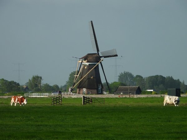 achtkantemolengrootammers240520202