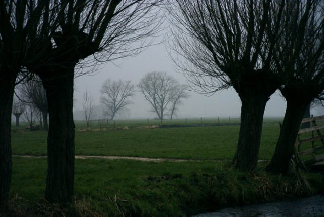 brandwijk170204