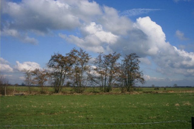 brandwijkdendonk190204