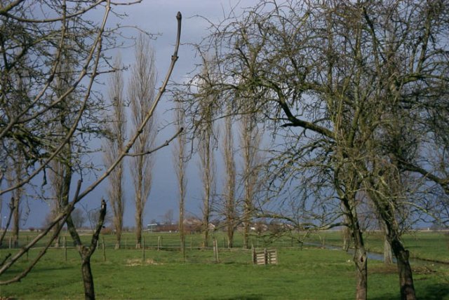 brandwijkdendonk220204