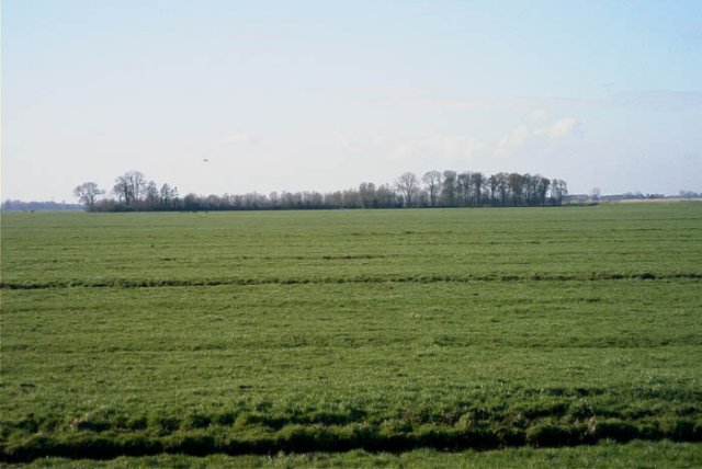 brandwijkeendenkooiopdepolderbrandwijk190204