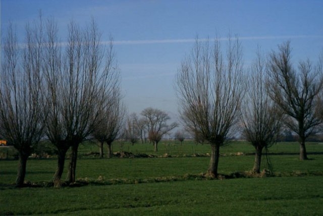 brandwijkpolderbrandwijk190204