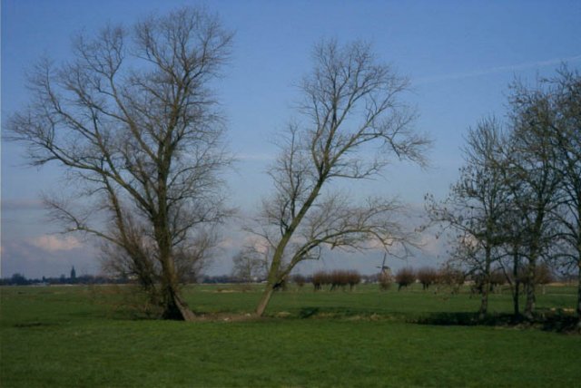 brandwijkpolderbrandwijkdeachkantemolengrootammers190204