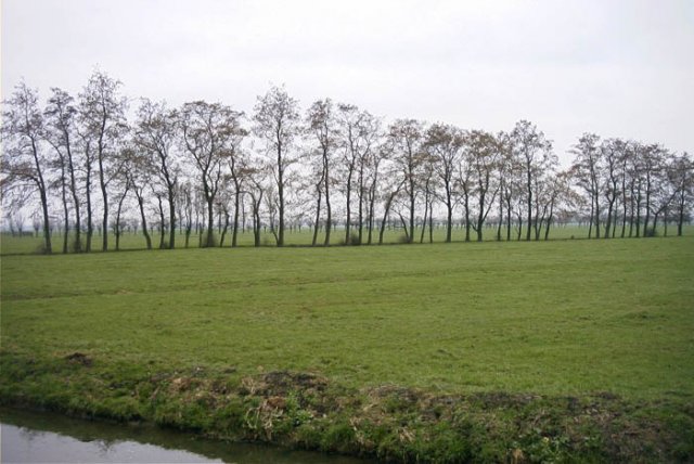 goudriaanpoldernieuwgoudriaan2202041