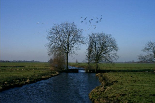 goudriaanpolderoudgoudriaan190204