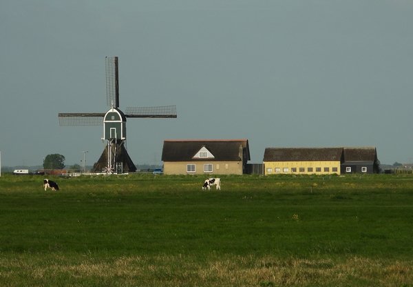 graaflandsemolengrootammers24052020