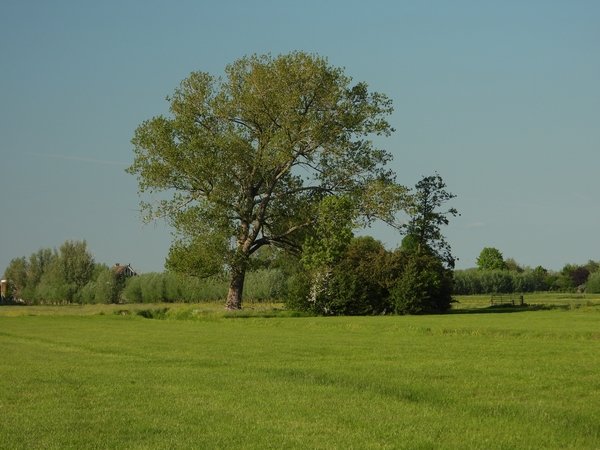 historischlandschapselementpoldermiddelbroekmeerkerk170520201