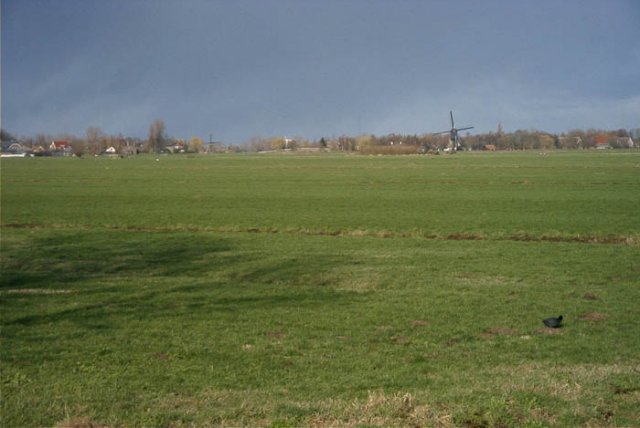hoornaarlinkslutjeswaardsemolenenrechtsdescheiwijksemolen230204