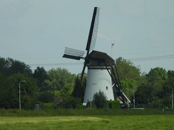 kooiwijksemolenoudalblas200520202