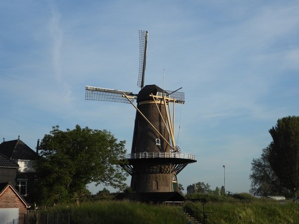 korenmolennooitvolmaaktgorinchem210520205