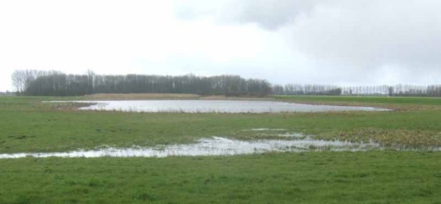 meerkerkpolderblommendaalplas19032008