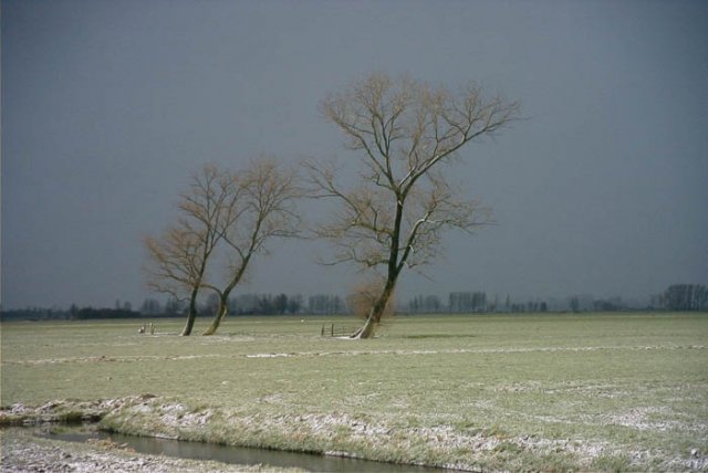 meerkerkpoldermiddelbroek250204