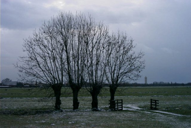 meerkerkpoldermiddelbroek2502043