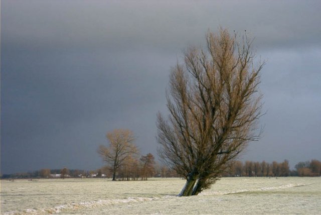 meerkerkpoldermiddelbroek2502045