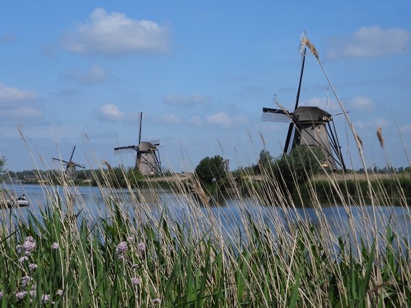 molensvankinderdijk2005202036